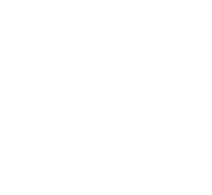 Advertiser